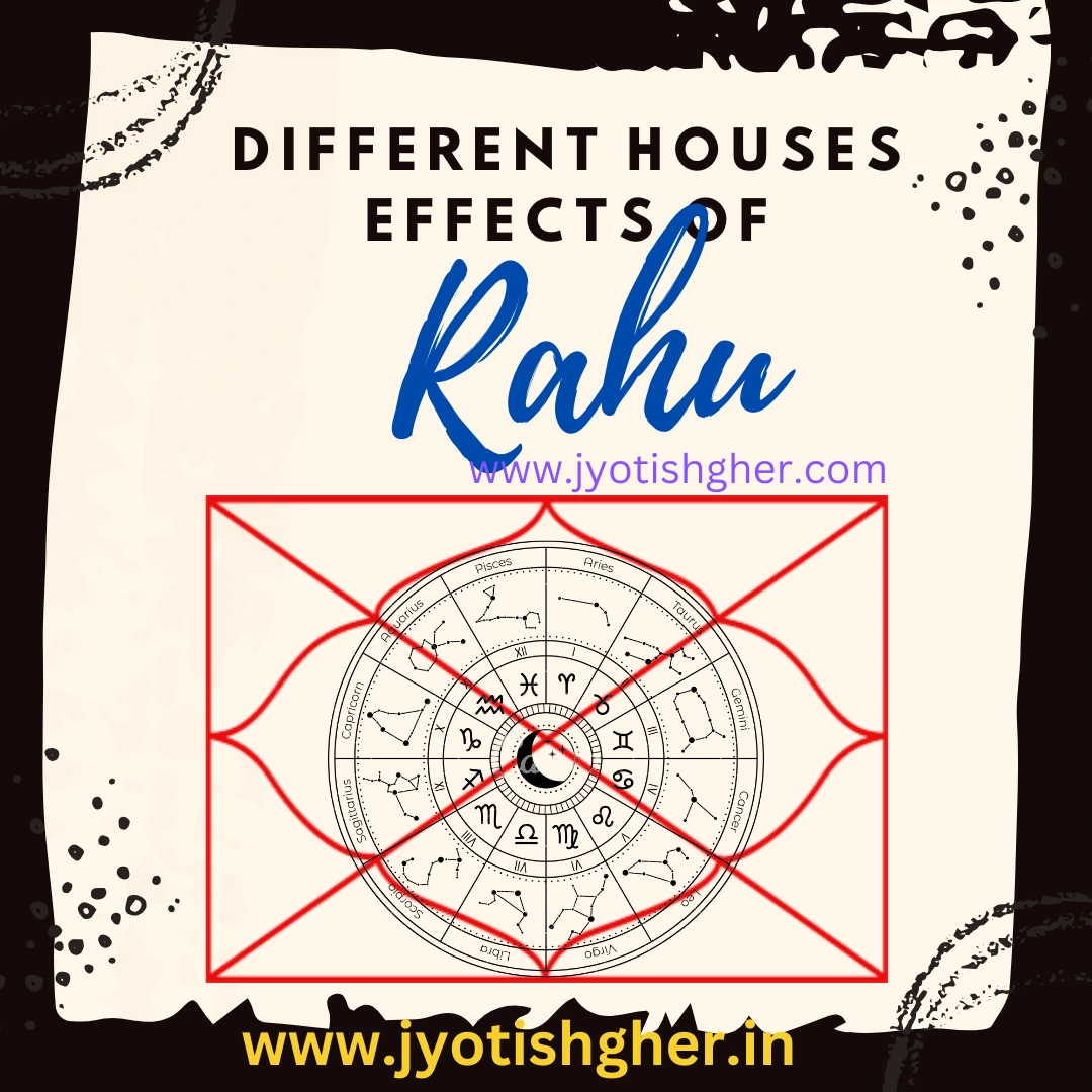 Rahu in Different Houses in Astrology