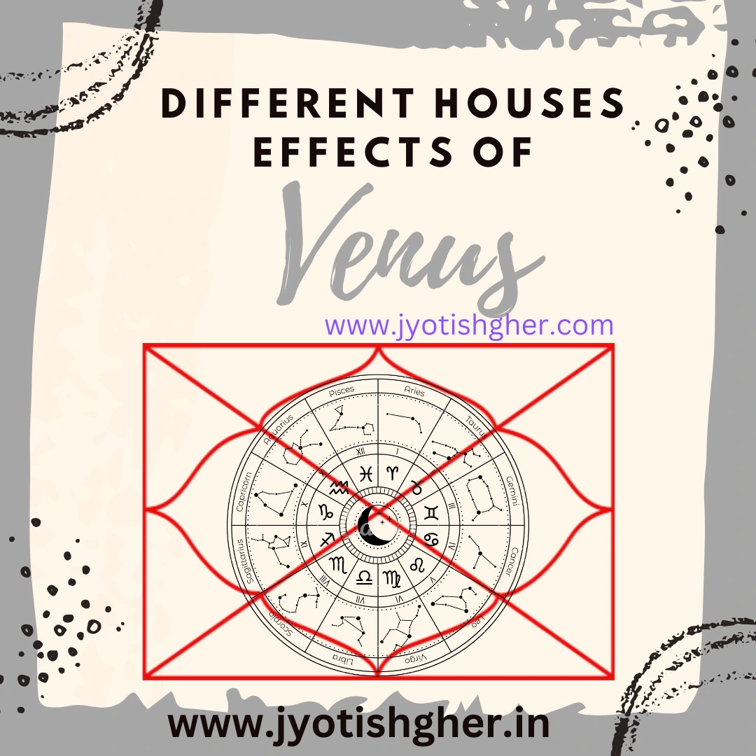 Venus in Different Houses in Astrology